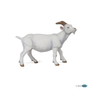 Chèvre blanche -Papo- 51144
