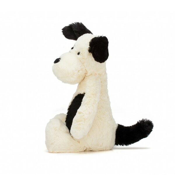 bashfull-puppy-coté
