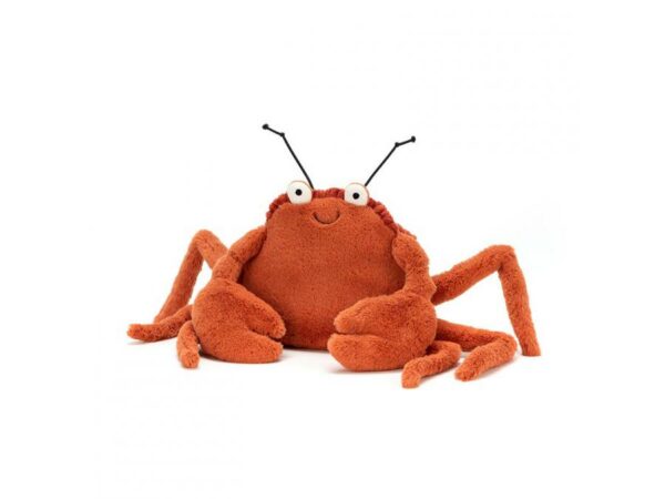 crabe crispin de face