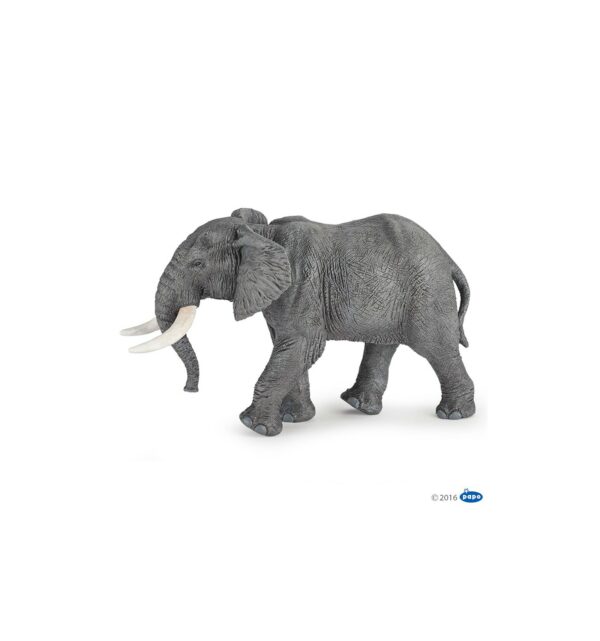 l'elephant d'afrique - 50192