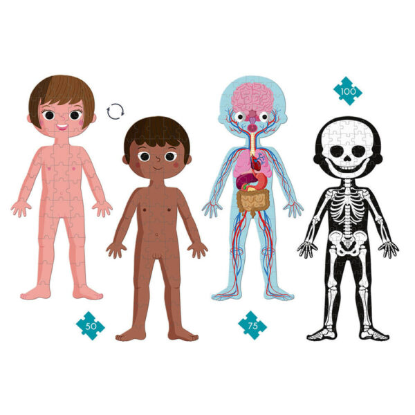 Puzzle Educatif Corps Humain - J02681 - JANOD – Image 2