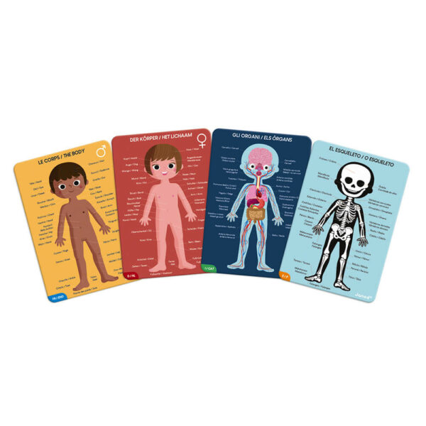 Puzzle Educatif Corps Humain - J02681 - JANOD – Image 3