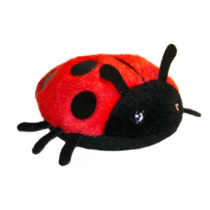 coccinelle