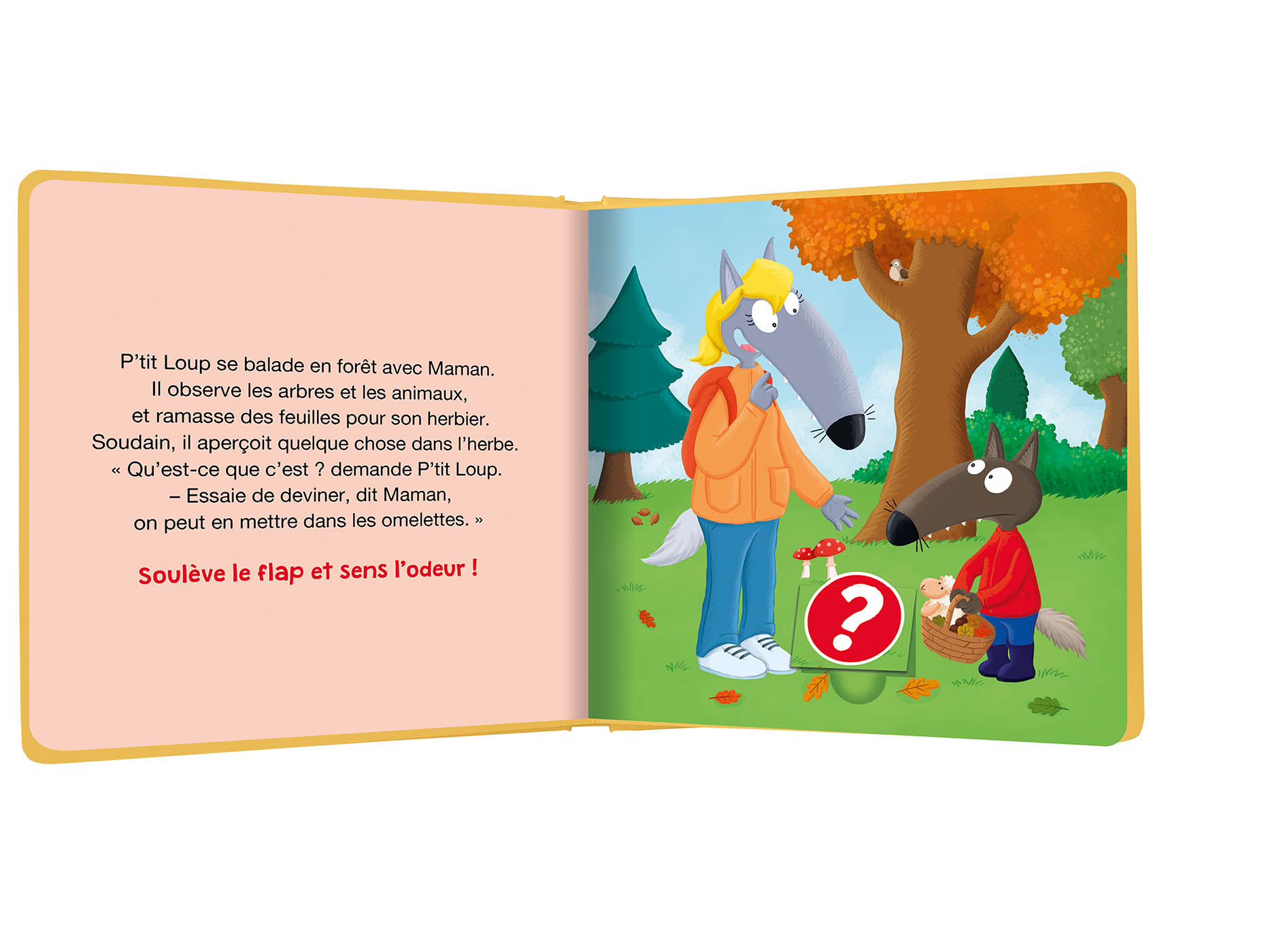 Le livre des odeurs P'tit Loup - AU008561 - Auzou – Image 3